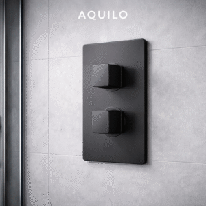 Thermostat shower by Aquilo in Matte Black  Brass – product photo